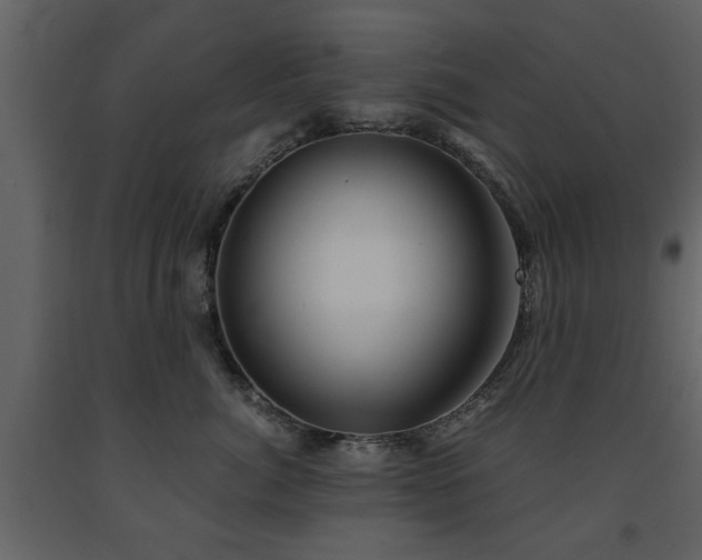 X0000091680764200708231417