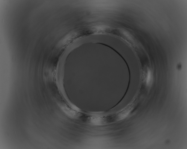 X0000091680766200708231417