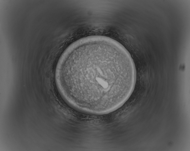X0000091680769200708231416