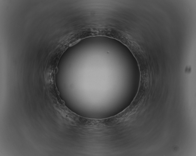 X0000091680770200708231416