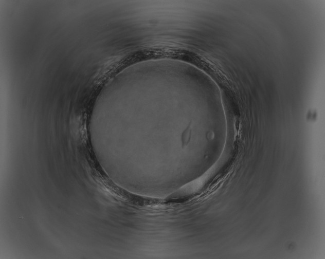 X0000091680771200708231416