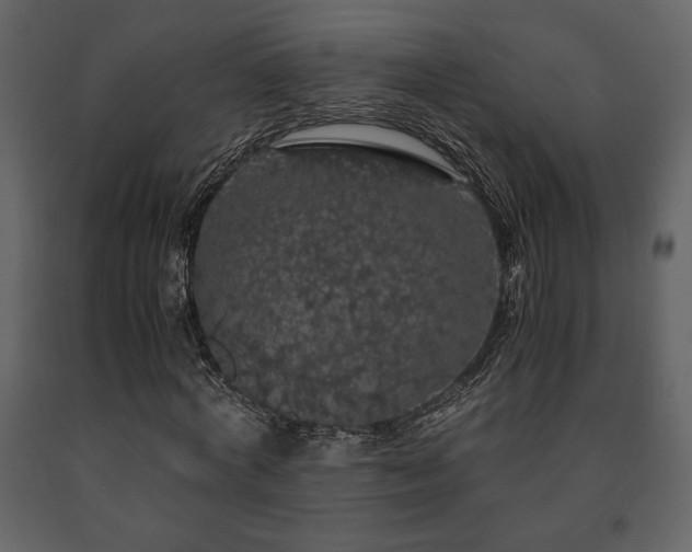 X0000091680772200708231416