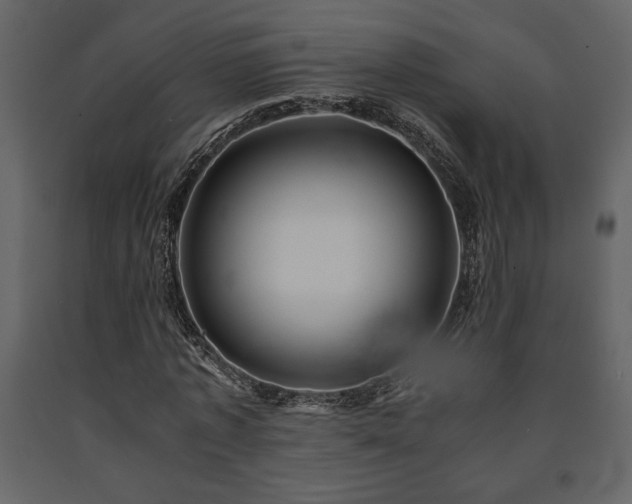 X0000091680773200708231416