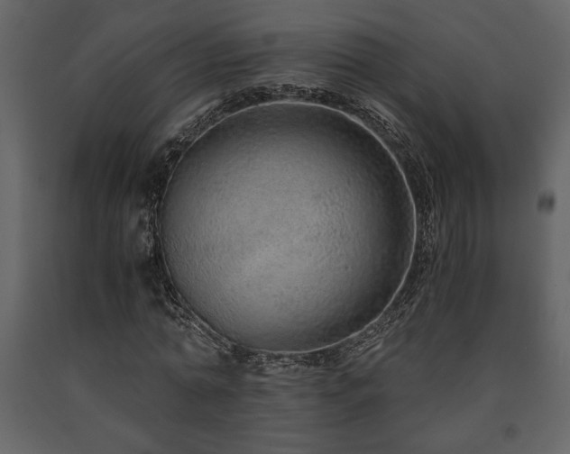 X0000091680774200708231416