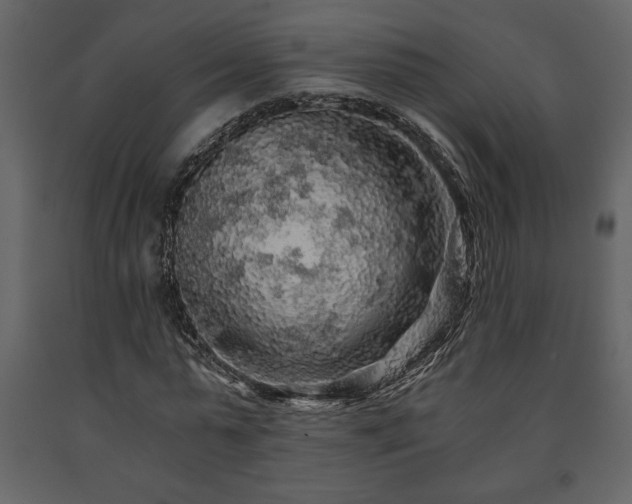 X0000091680775200708231416