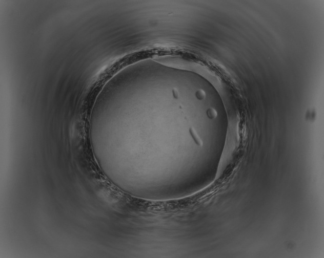 X0000091680776200708231416