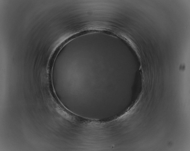 X0000091680779200708231416