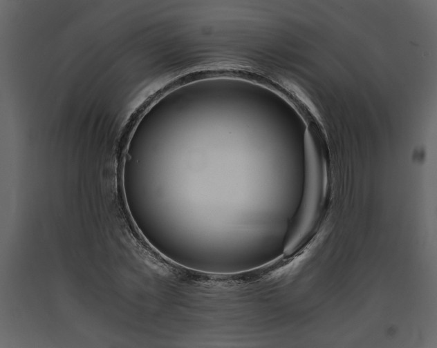 X0000091680781200708231416