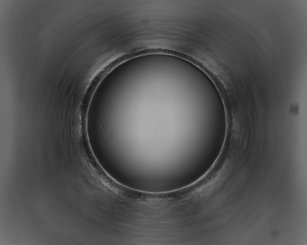 X0000091680782200708231416
