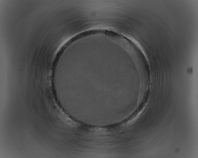 X0000091680783200708231416