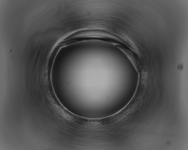 X0000091680784200708231416