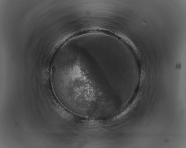 X0000091680785200708231416