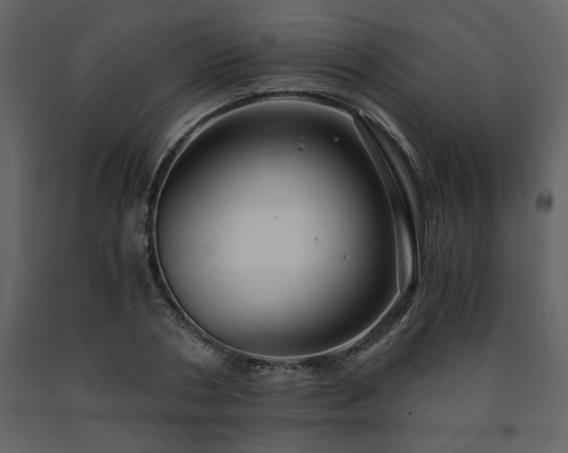 X0000091680786200708231416