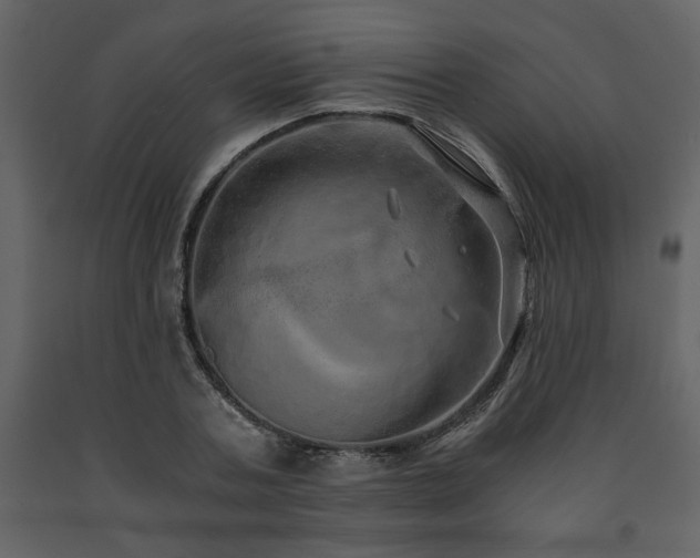 X0000091680787200708231416