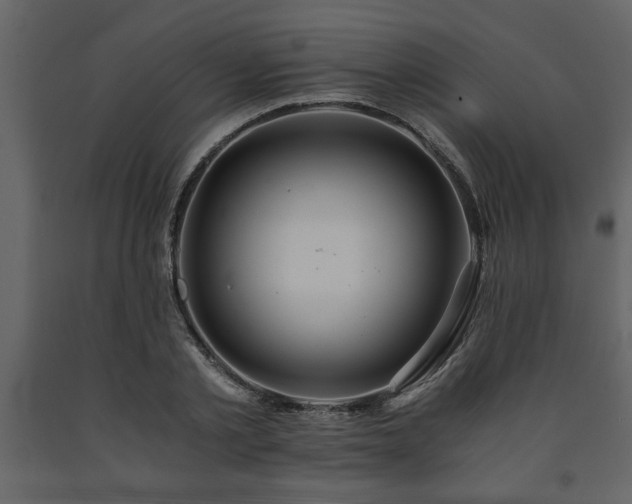 X0000091680789200708231416