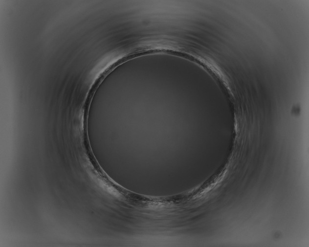 X0000091680790200708231416