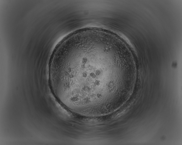 X0000091680791200708231416
