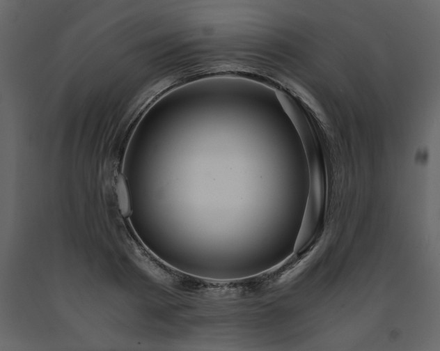 X0000091680793200708231416