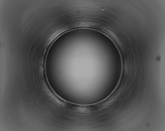 X0000091680794200708231416