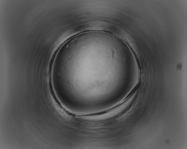 X0000091680795200708231416