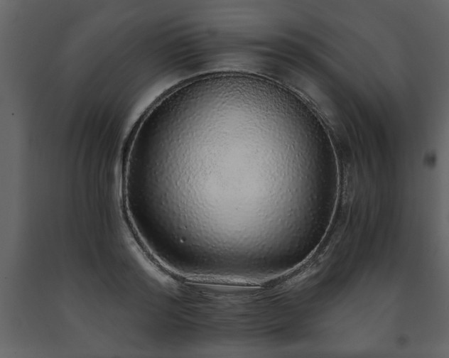 X0000091680796200708231416