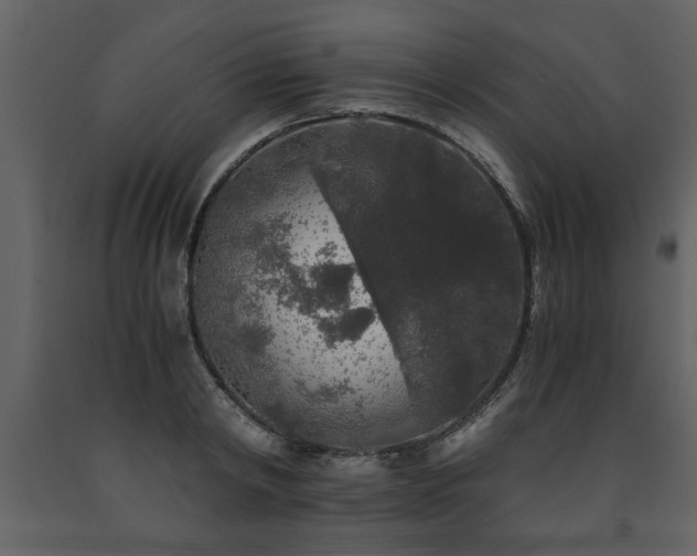 X0000091680798200708231416