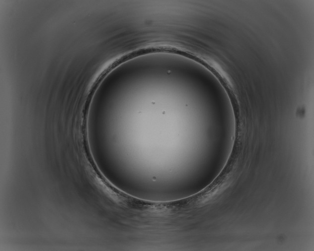 X0000091680799200708231416
