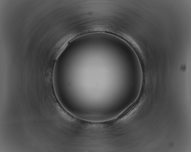 X0000091680801200708231416