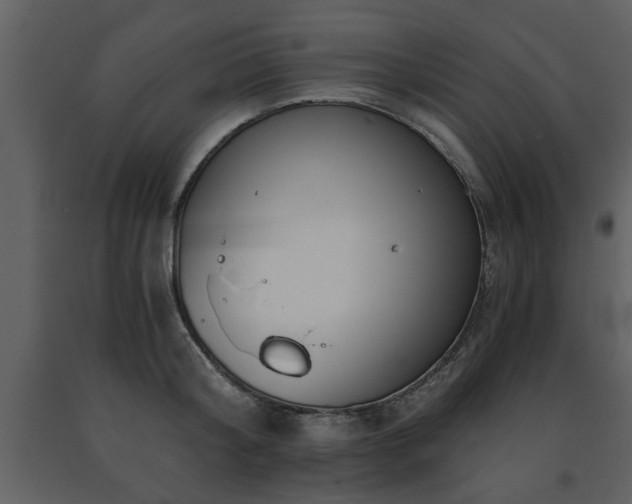 X0000091680804200708231416