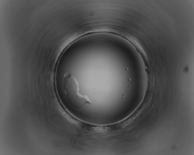 X0000091680805200708231416
