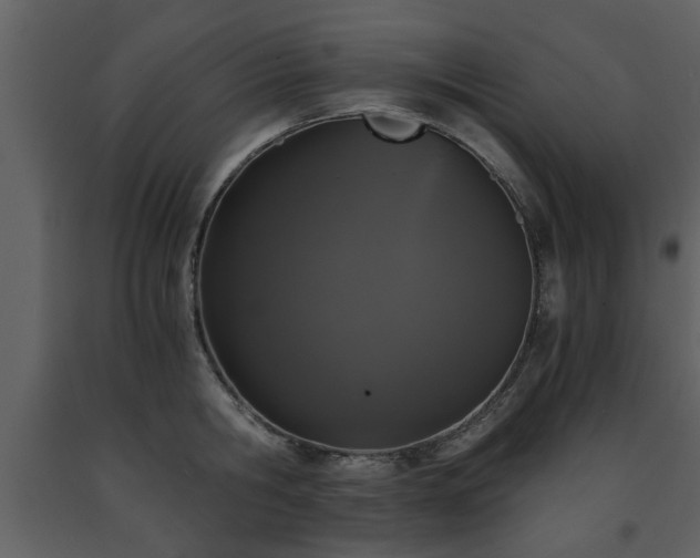 X0000091680806200708231416