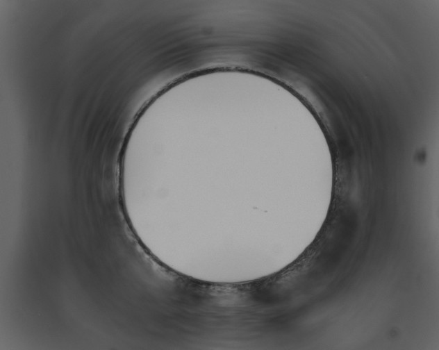 X0000091680807200708231416