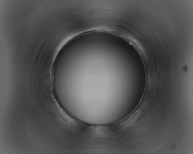 X0000091680808200708231416