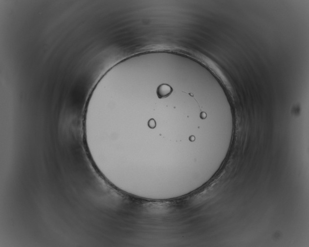 X0000091680810200708231416