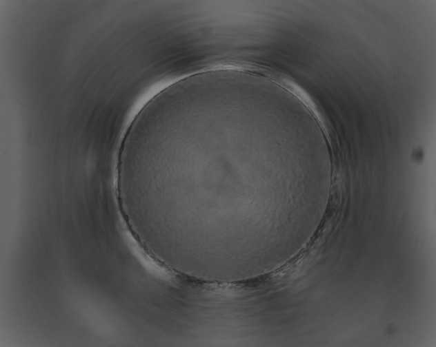 X0000091680811200708231416
