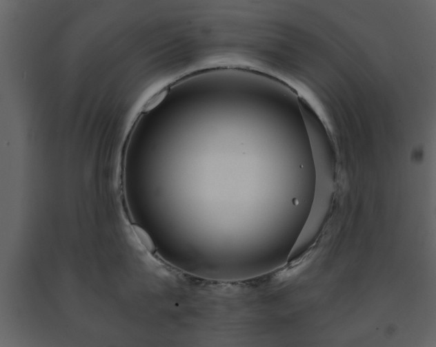 X0000091680815200708231415