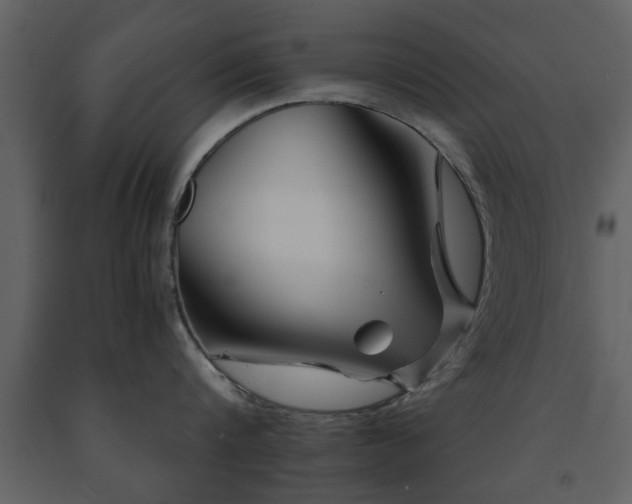 X0000091680816200708231415