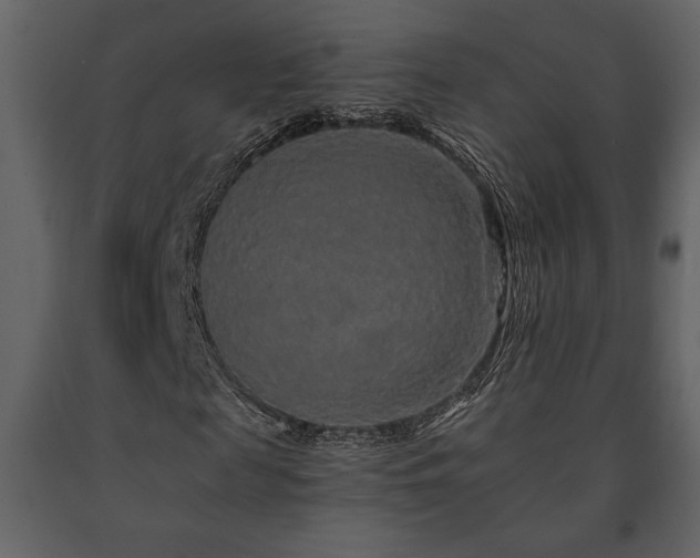 X0000091680817200708231415