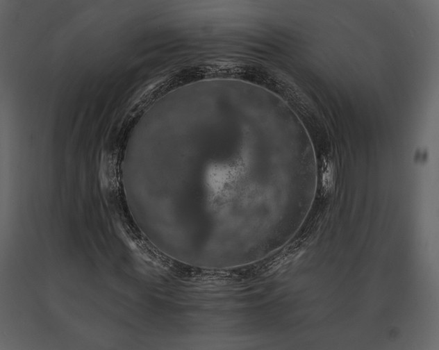 X0000091680819200708231415
