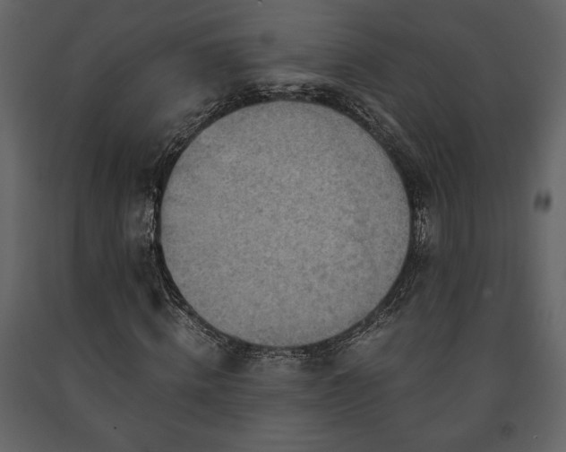 X0000091680820200708231415
