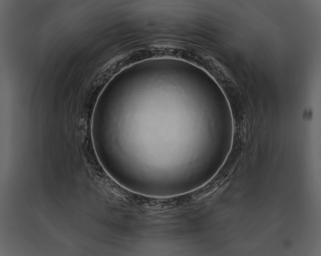 X0000091680821200708231415