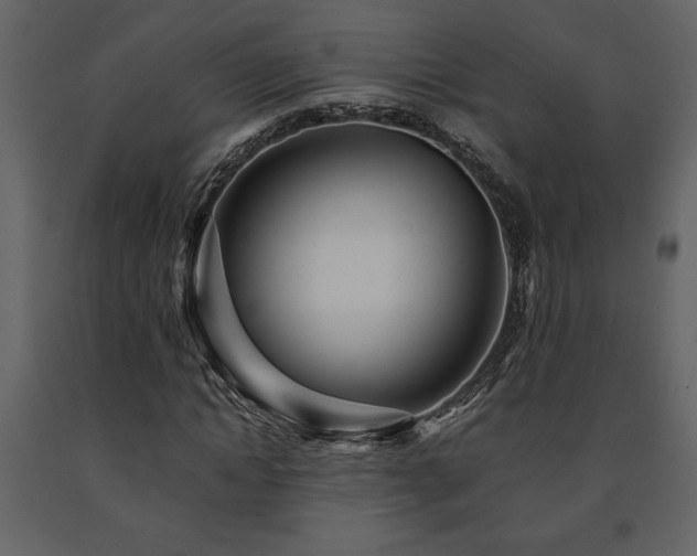 X0000091680822200708231415