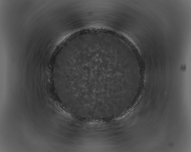 X0000091680823200708231415