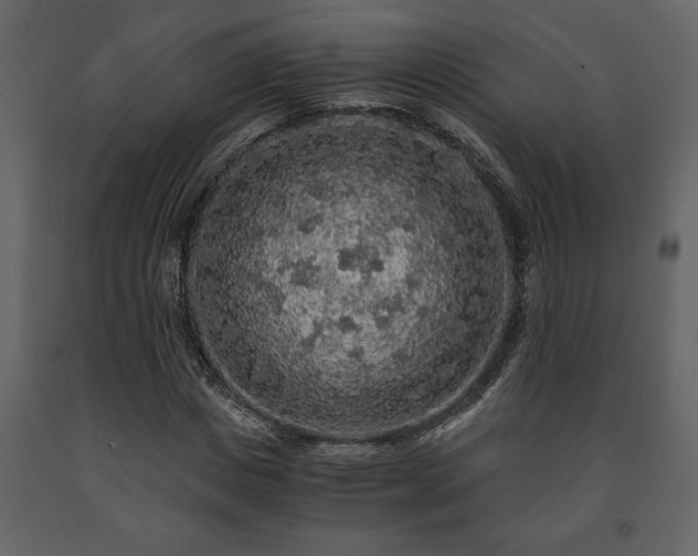 X0000091680825200708231415