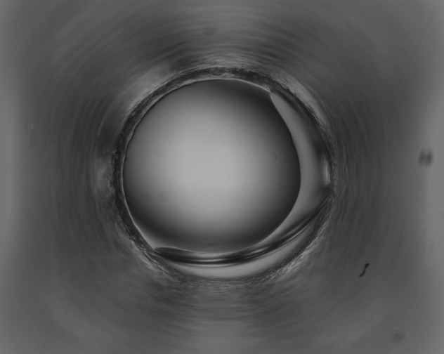 X0000091680826200708231415