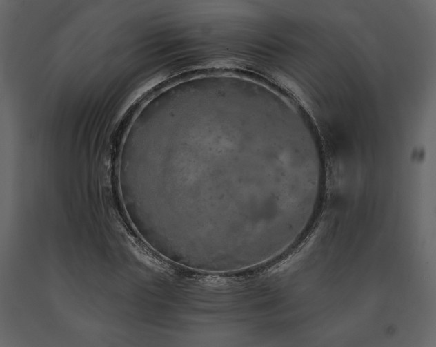 X0000091680827200708231415
