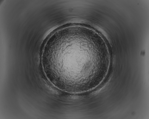 X0000091680829200708231415
