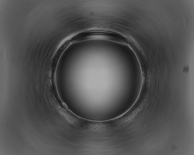 X0000091680830200708231415