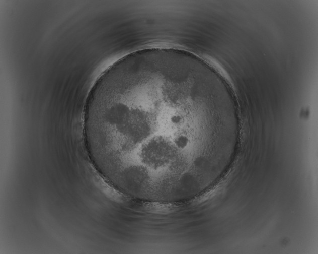 X0000091680831200708231415