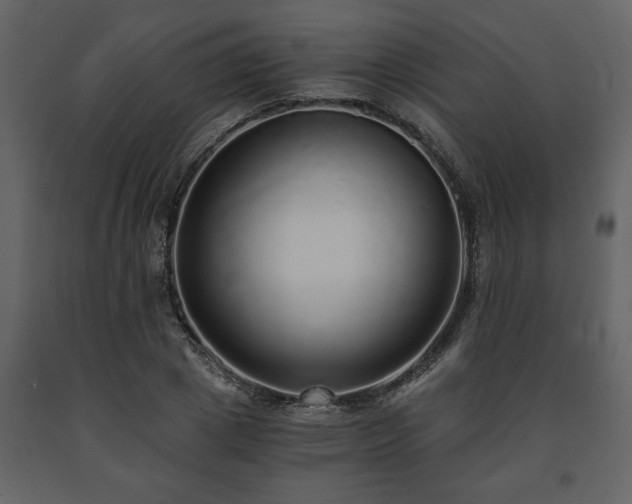 X0000091680833200708231415